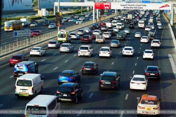 ఆల్-టైమ్ హిట్: 3 నెలల్లో 35 శాతం పెరిగిన సాలిక్ గేట్ షేర్