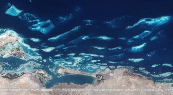 కోస్టల్ టూరిజం లైసెన్సింగ్.. సౌదీ రెడ్ సీ అథారిటీ తనిఖీలు ప్రారంభం