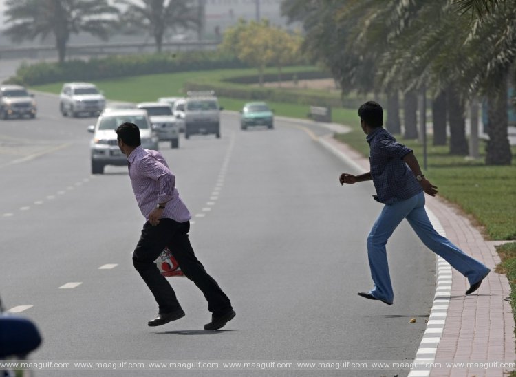 2023లో రోడ్డు ప్రమాదాల్లో 8 మంది మృతి, 339 మందికి గాయాలు
