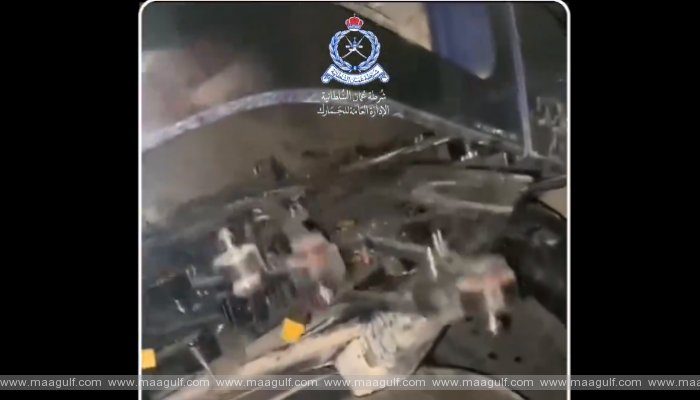 హఫీత్ నౌకాశ్రయంలో డ్రోన్లతో కూడిన ట్రక్కు సీజ్