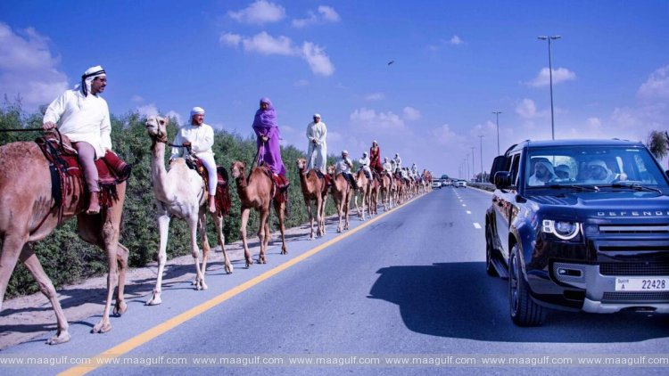 కామెల్ ట్రెక్కర్‌లను కలుసుకున్న షేక్ మొహమ్మద్