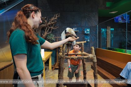Connect with inner self, nature and animals at The Green Planet™ Dubai