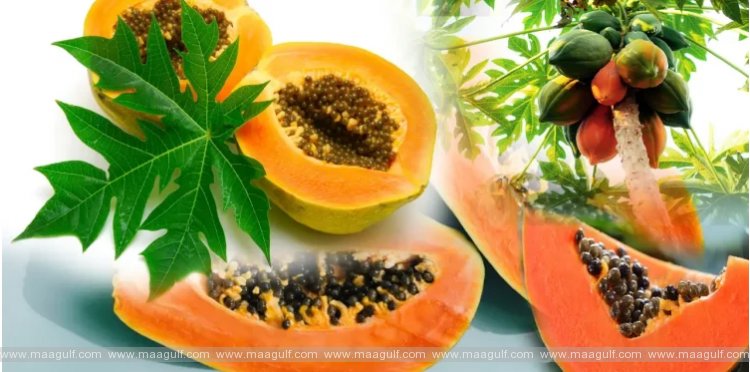 పరగడుపున బొప్పాయి తింటే ఏమవుతుందో తెలుసా?