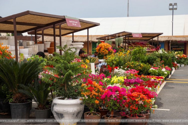 కటారాలో మహాసీల్ ఫెస్టివ‌ల్ ప్రారంభం