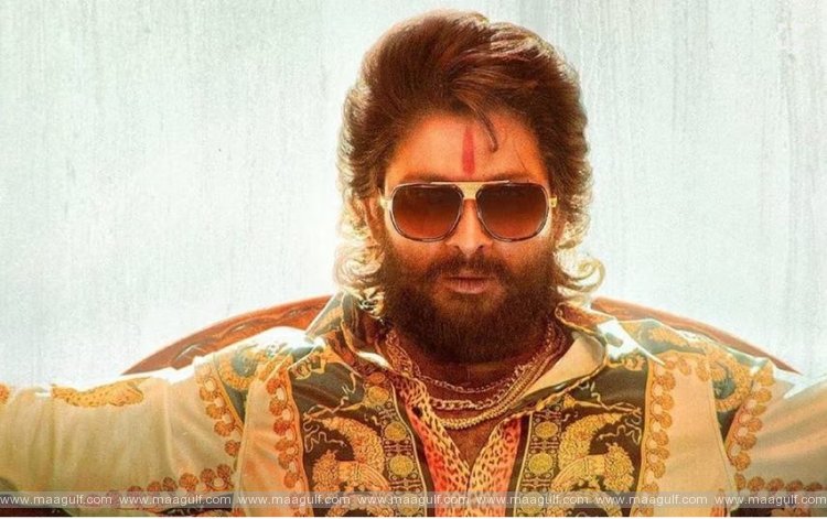 ‘పుష్ప’ సినిమాపై బన్నీ ఆసక్తికరమైన వ్యాఖ్యలు.!