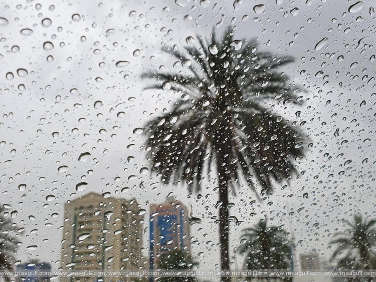 యూఏఈలో వర్షాలు:షార్జాలో అన్ని పార్కులు మూసివేత‌