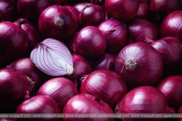 సౌదీ మార్కెట్ లో ఉల్లి కొర‌త లేదు..సౌదీ ఛాంబర్స్ ఫెడరేషన్