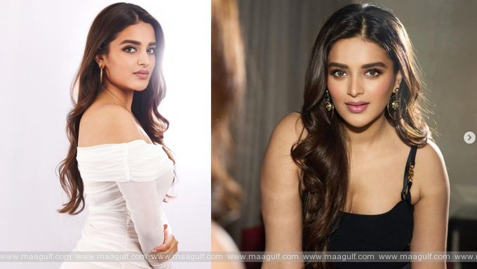 నిధి అగర్వాల్‌ భలే ఛాన్సు కొట్టిందిగా.!