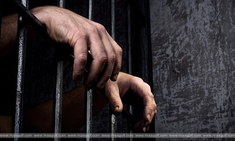 అధిక రాబడి పేరిట మోసం చేసిన నిందితులకు జైలుశిక్ష