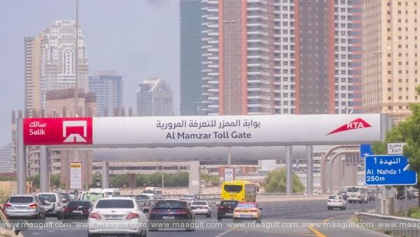 సాలిక్ వాటాదారులకు భారీ లాభాలు!