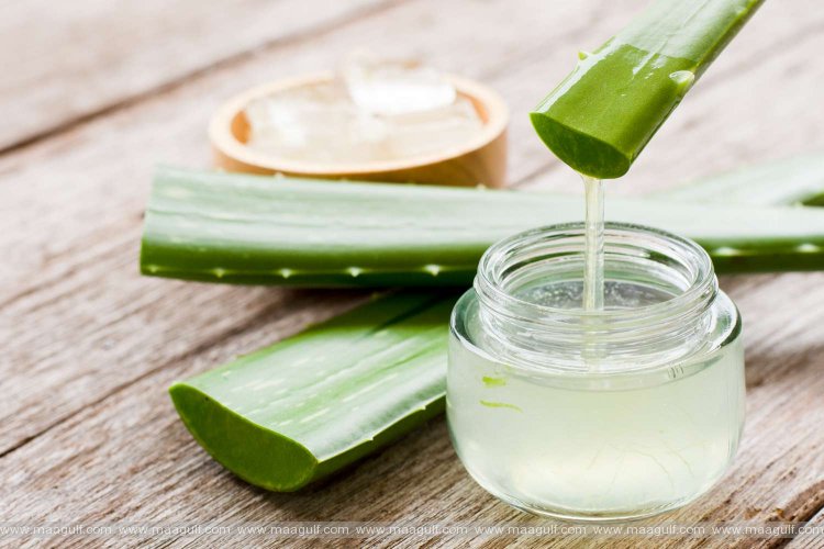 కలబందతో డయాబెటిక్ పేషెంట్లకు అది సాధ్యమేనా.?