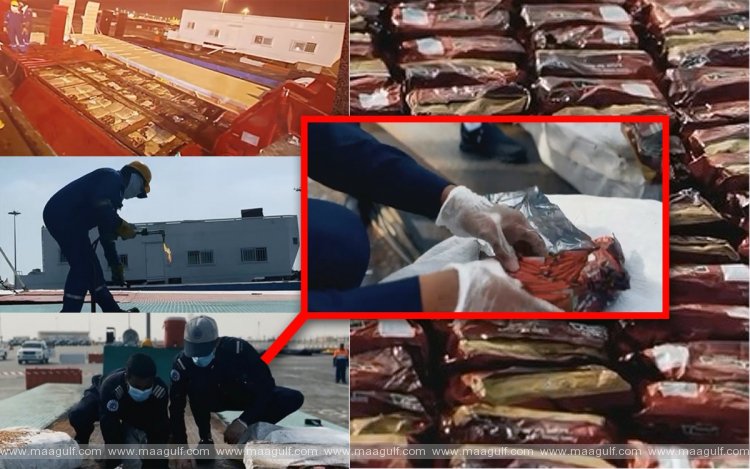 హమద్ పోర్ట్ లో భారీగా నిషేధిత పొగాకు స్వాధీనం