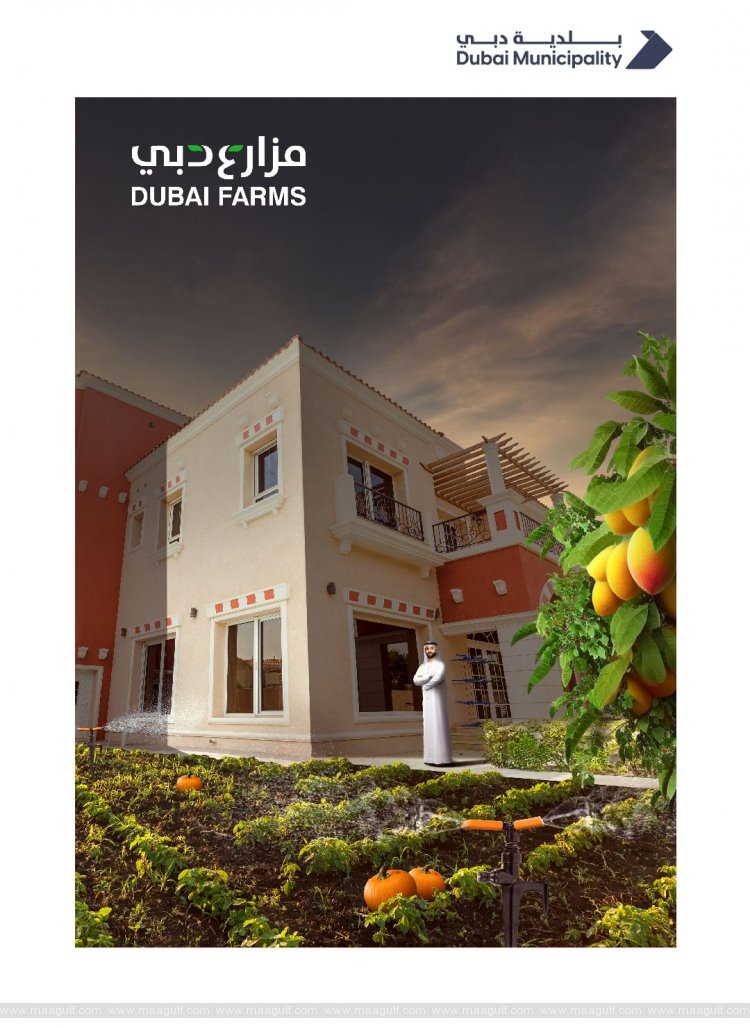 20 Dubai Municipality unveils Dubai’s Best Homegrown Produce Competition