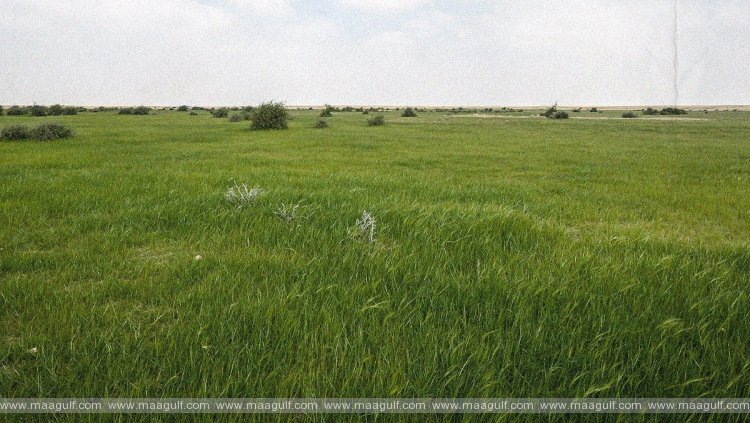 భూముల డిజిటల్ డేటాబేస్‌ ప్రారంభం..!