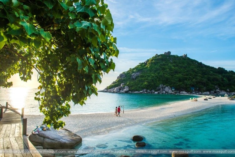 ఈద్ లాంగ్ బ్రేక్:  టూర్ ప్యాకేజీల‌కు ఫుల్ డిమాండ్