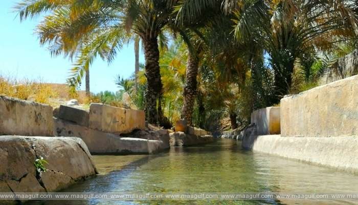 ఒమానీ ఫలాజ్ వ్యవస్థను ప్రోత్సహించడానికి ప్రాజెక్ట్‌లు..యునెస్కో