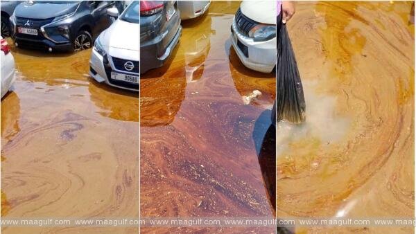 uae-rains-oil-spills-near-cars-in-flooded-reaas-add-to-residents-worry
