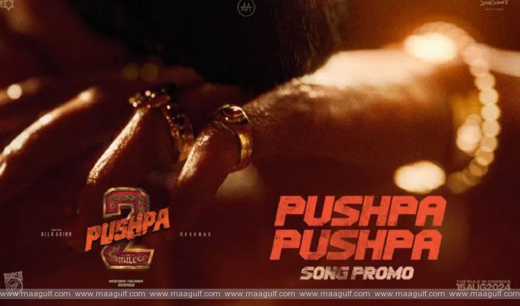 పుష్ప 2 ఫస్ట్ సింగల్ ప్రోమో వచ్చేసింది..