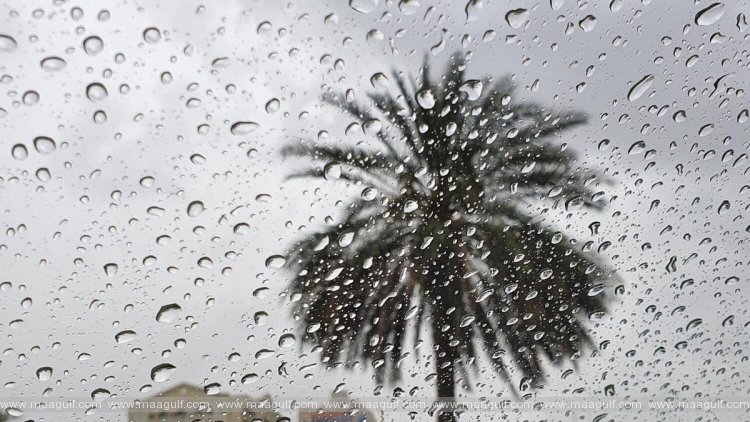 UAE weather: More rain expected next week