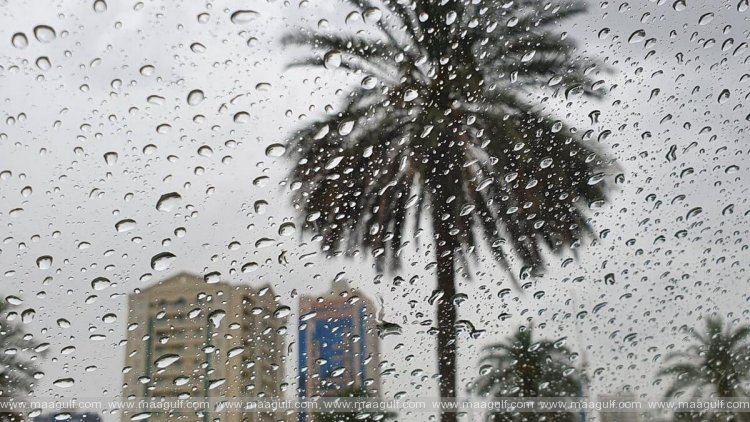 దుబాయ్‌లో కలరా కేసులు నమోదుపై అధికారుల క్లారిటీ