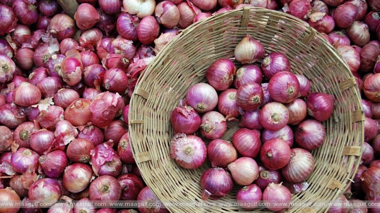1 యూఏఈలో ఉల్లి ధరలు తగ్గుతాయా?