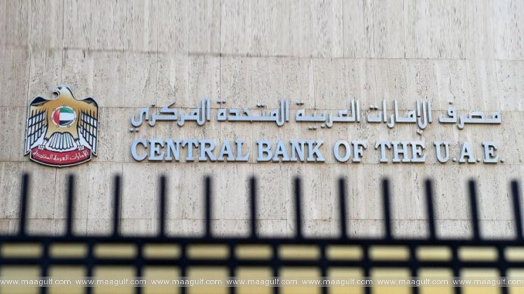 యూఏఈలో హోల్‌సేల్ క్రాస్-బోర్డర్ చెల్లింపుల కోసం కొత్త ప్లాట్‌ఫారమ్‌