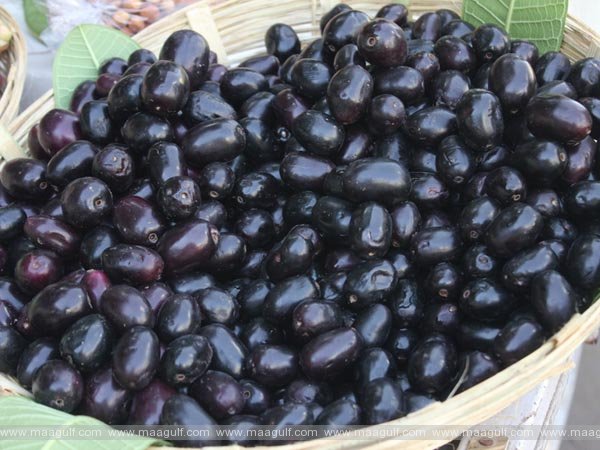 నేరేడు పండ్లు ఎక్కువగా తింటున్నారా.?