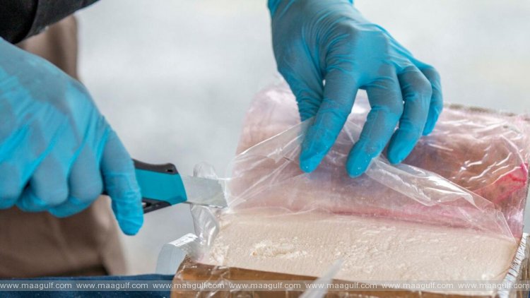 దుబాయ్ లో గతేడాది 16 సింథటిక్ డ్రగ్స్‌ గుర్తింపు