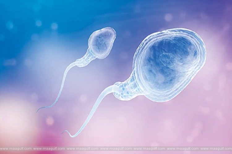 స్పెర్మ్ కౌంట్‌కి ఈ ఆహార పదార్ధాలు దివ్వౌషధాలు.!