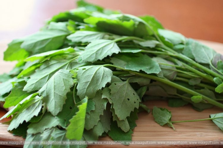 బతువా ఆకు గురించి మీకీ విషయాలు తెలుసా.?