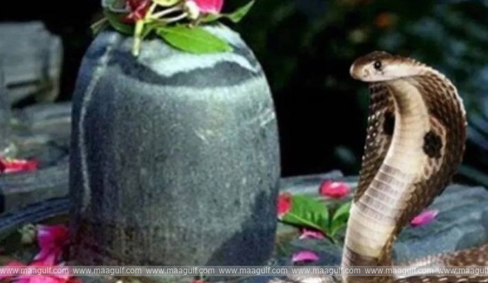 నాగపంచమి
