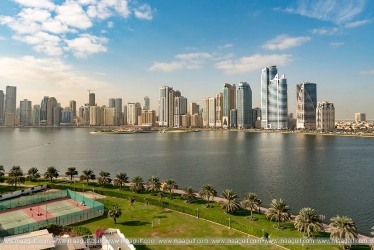 UAE\'s real estate sector on upward trajectory in H1 2024