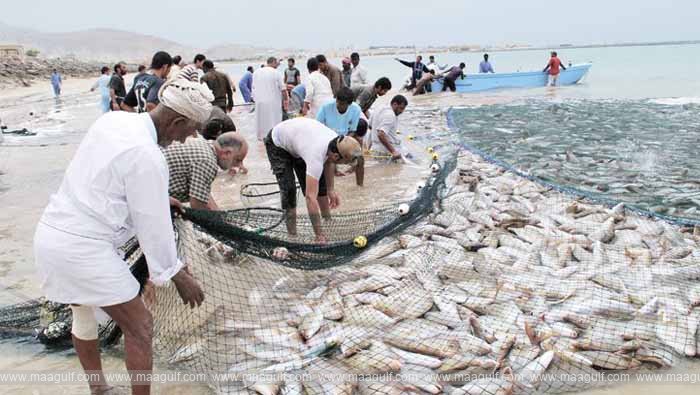 \'ఒమన్ కింగ్ ఫిష్\' వేటపై 2 నెలల నిషేధం
