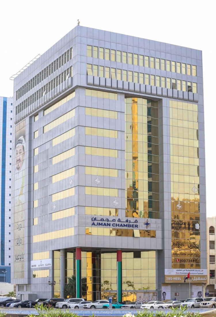 20 800 industrial establishments in Ajman during first half of 2024