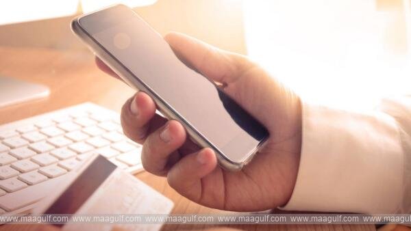 నెలకు 35,600 దిర్హామ్‌ల ఆదాయం..ఫేక్ క్లెయిమ్‌..సాలిక్