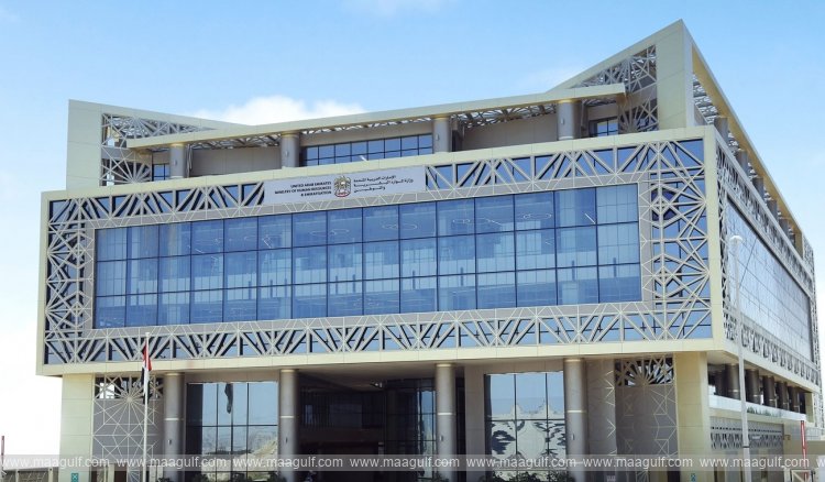 MoHRE offers 4 services to settle violators status, exempt administrative fines during grace period
