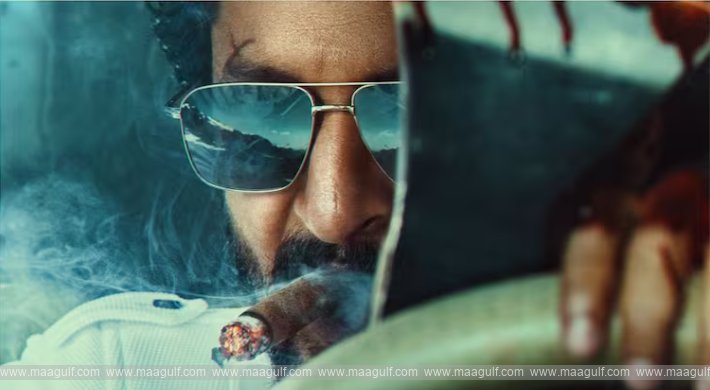 నాని ‘హిట్ 3’.! మామూలుగా వుండదు మరి.!