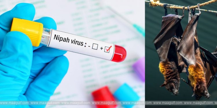 కేర‌ళ‌లో నిఫా టెన్ష‌న్