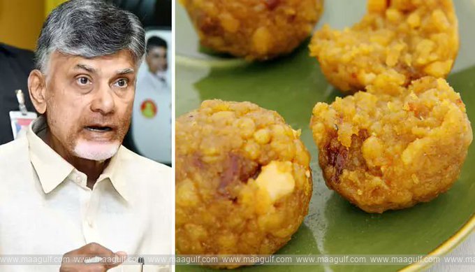 ముదురుతున్న తిరుపతి లడ్డూ వివాదం..చంద్రబాబు సీరియస్