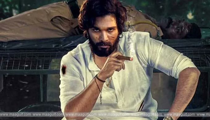 అల్లు అర్జున్ ‘పుష్ప 2’.! ఇలాగైతే కష్టమేనేమో.!