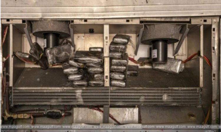 55 కిలోల కొకైన్ స్వాధీనం.. అరటిపండ్ల రవాణాలో దాచి..అడ్డుకున్న కస్టమ్స్..!!