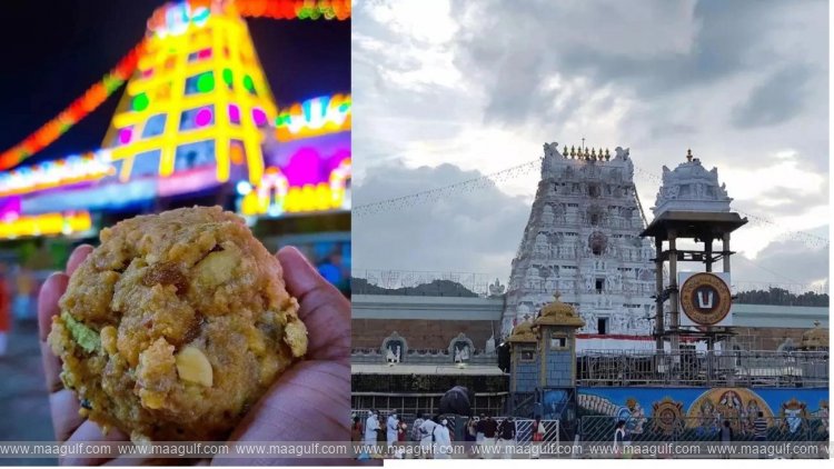 సిట్ విచారణను తాత్కాలికంగా నిలిపివేసిన ఏపీ ప్రభుత్వం