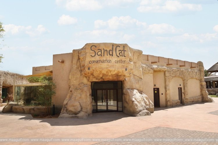 Umm Al Emarat Park hosts 4th season of \'Park Market\'
