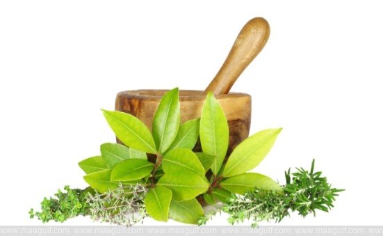 ఇండియన్ ఎంబసీలో 9వ \'ఆయుర్వేద దినోత్సవం\'..!!