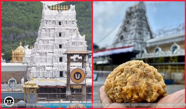 తిరుమల లడ్డూ వ్యవహారం పై సుప్రీంకోర్టు కీలక నిర్ణయం..