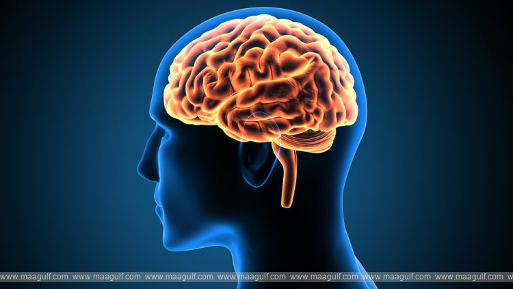 మంచి విషయాలు మన బుర్రకి త్వరగా ఎక్కవు, ఎందుకో తెలుసా..?