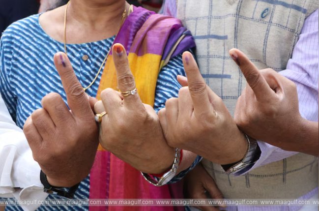 మహారాష్ట్ర, జార్ఖండ్ ఎన్నికల్లో ఓటర్ల శాతం: తాజా సమాచారం