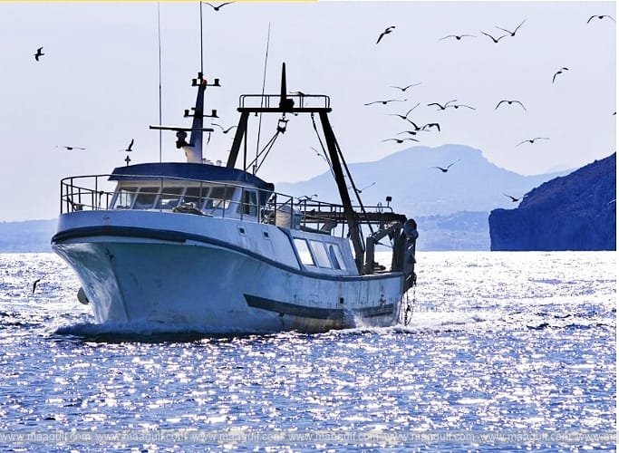 ఫిషింగ్ లైసెన్స్‌ల కోసం దరఖాస్తులను ఆహ్వానిస్తోన్న ఒమాన్