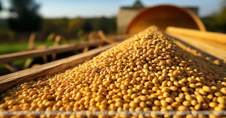 సోయాబిన్ సేకరణలో దేశంలోనే మొదటి స్థానంలో తెలంగాణ