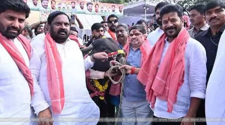 రాష్ట్ర పండుగగా ‘సదర్’: ప్రభుత్వం జీవో జారీ